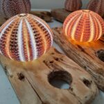 SeaUrchin Crafts _4