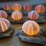SeaUrchin Crafts_2