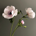 Anemones